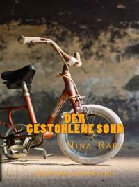 Nina Rabe — Der gestohlene Sohn - Ostfrieslandkrimi (Lena Smidt ermittelt 1) (German Edition)