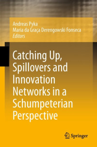 Andreas Pyka, Maria da Graça Derengowski Fonseca — Catching Up, Spillovers and Innovation Networks in a Schumpeterian Perspective