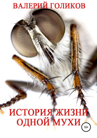 Валерий Анатольевич Голиков — История жизни одной Мухи