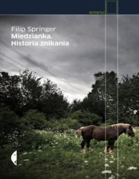 Filip Springer — Miedzianka