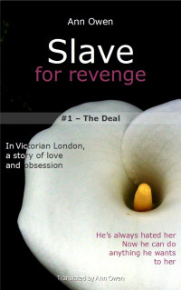 Owen, Ann — [Slave for Revenge 01] • The Deal