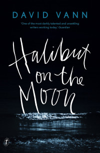 David Vann — Halibut on the Moon