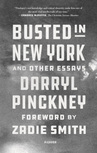 Darryl Pinckney — Busted in New York and Other Essays