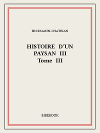 Erckmann-Chatrian — Histoire d'un paysan - Tome 3