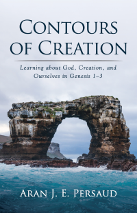 Aran J. E. Persaud; — Contours of Creation