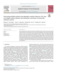 Haoyue Li — Polyvinylpyrrolidone-induced size-dependent catalytic behavior of Fe sites on N-doped carbon substrate and mechanism conversion in Fenton-like oxidation reaction