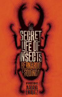 Bernardo Esquinca — The Secret Life of Insects and Other Stories