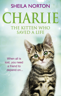 Шейла Нортон — Charlie The Kitten Who Saved A Life