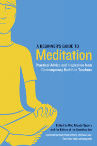 Sperry, Rod Meade & Chodron, Pema & Hanh, Thich Nhat & Mipham, Sakyong — A Beginner's Guide to Meditation · Practical Advice and Inspiration From Contemporary Buddhist Teachers