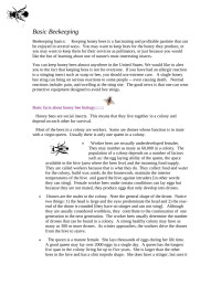 Assurant Employee — Basic Beekeeping