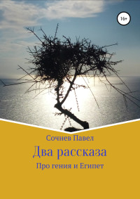 Павел Николаевич Сочнев — Два рассказа