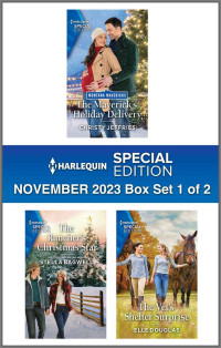 Jeffries, Christy & Bagwell, Stella & Douglas, Elle — Harlequin Special Edition November 2023 Box Set 1 of 2