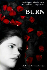 Amanda Lawrence Auverigne [Auverigne, Amanda Lawrence] — Burn (The Burn Series, Book 1)