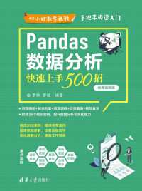 罗帅 & 罗斌 — Pandas数据分析快速上手500招（微课视频版）