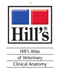 unknown — Hill's Atlas of Veterinary Clinical Anatomy