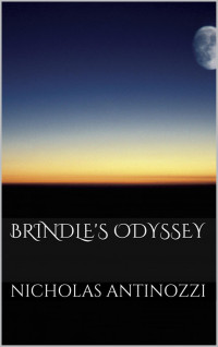 Nicholas Antinozzi — Brindle's Odyssey