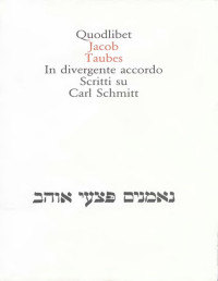 Jacob Taubes — In divergente accordo. Scritti su Carl Schmitt