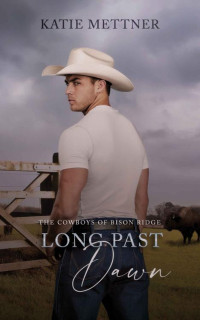 Katie Mettner — Long Past Dawn: The Cowboys of Bison Ridge