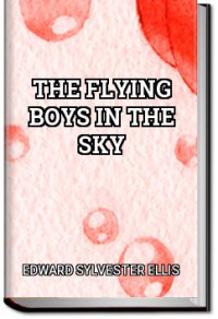 Edward Sylvester Ellis — The Flying Boys in the Sky