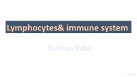 Imam Nabil — Lymphocytes & Immune System