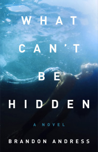 Brandon Andress — What Can't Be Hidden