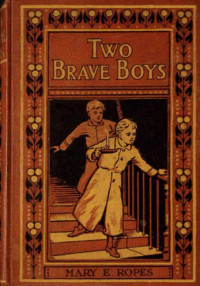 Mary E. Ropes — Two brave boys, and, The wrong twin