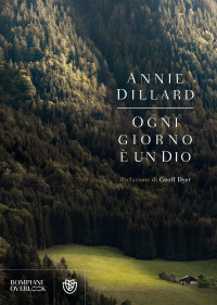 Dillard Annie — Ogni giorno è un dio
