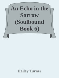 Hailey Turner — An Echo in the Sorrow (Soulbound Book 6)