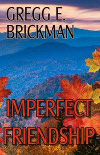 Gregg E Brickman — Imperfect Friendship (The Imperfect Series: Sophia Burgess and Ray Stone Mysteries Book 5)