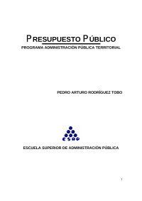 Pedro Arturo Rodríguez Tobo — PRESUPUESTO PUBLICO