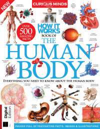The Curious Mind series — How it Works Book of The Human Body