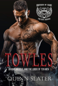 Quinn Slater — Towles: Brothers of Chaos MC #3