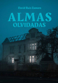 David Ruiz Zamora — Almas olvidadas