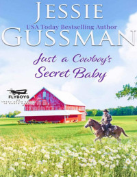 Jessie Gussman — Just a Cowboy's Secret Baby (Sweet western Christian romance book 6) (Flyboys of Sweet Briar Ranch in North Dakota)