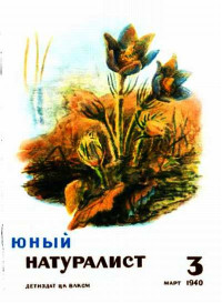 Журнал «Юный натуралист» — Журнал "Юный натуралист" №3, 1940