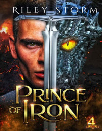 Riley Storm — Prince of Iron (4 Princes Book 3)