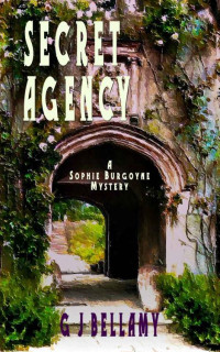 G J Bellamy — Secret Agency: A captivating 1920s historical mystery 