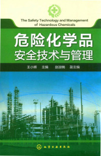 王小辉 — 危险化学品安全技术与管理