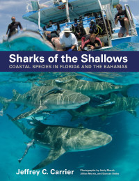 Jeffrey C. Carrier photographs by Andy Murch, Jillian Morris & Duncan Brake — Sharks of the Shallows: Coastal Species in Florida and the Bahamas