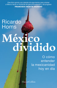 Ricardo Homs; — Mxico dividido