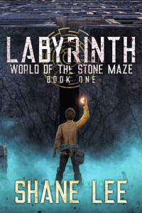 Shane Lee — Labyrinth