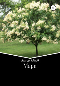 Артур Ильдусович Айюб — Мари