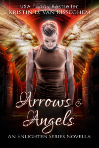 Kristin D. Van Risseghem — Arrows & Angels (Enlighten Series Book 0)