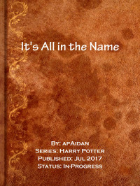 apAidan [apAidan] — It's All in the Name