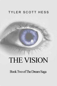 Tyler Scott Hess [Hess, Tyler Scott] — The Vision
