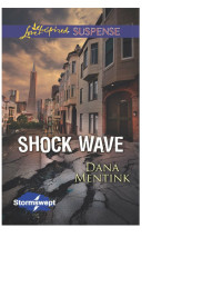 Dana Mentink — Shock Wave
