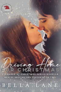 Bella Lane — Driving Home for Christmas: Stranded at Christmas Series (AB Shared World)