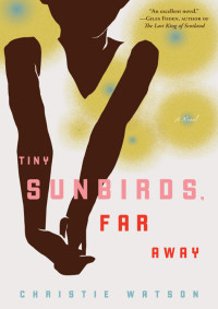 Christie Watson — Tiny Sunbirds, Far Away