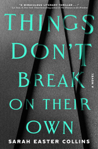 Sarah Easter Collins — Things Don't Break on Their Own: A Novel