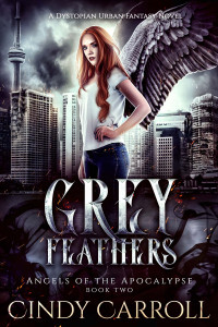 Cindy Carroll — Grey Feathers